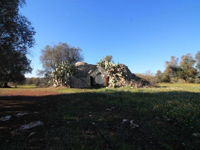 Rustico in vendita a Ostuni, Brindisi
