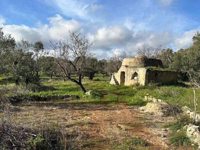 Rustico in vendita a Puglia, Brindisi