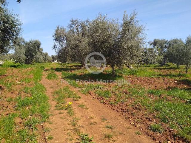Rustico in vendita a Ostuni, Brindisi
