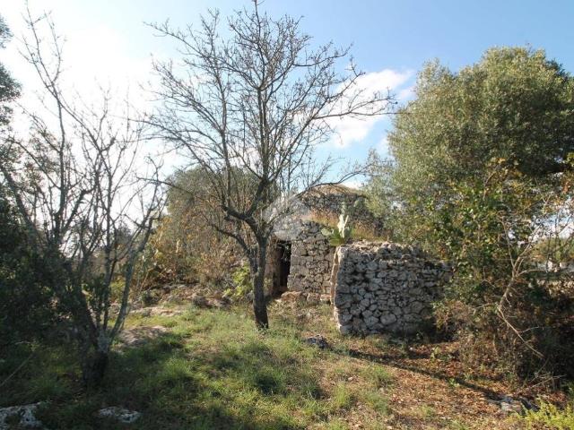 Rustico in vendita a Puglia, Brindisi