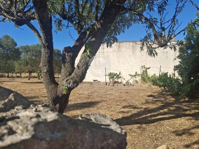 Rustico in vendita a Ostuni, Brindisi