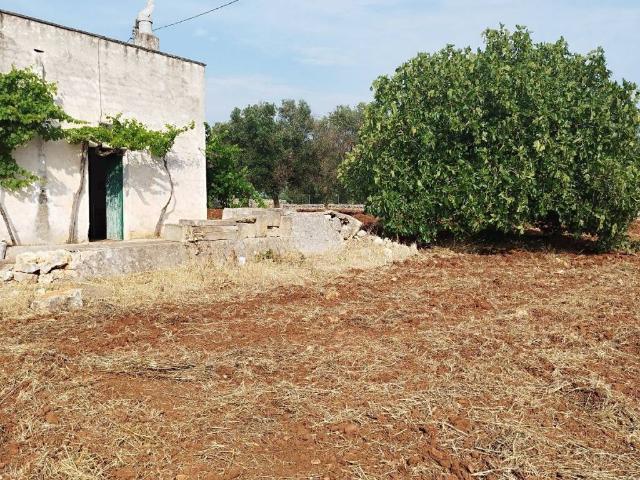 Rustico in vendita a Ostuni, Brindisi