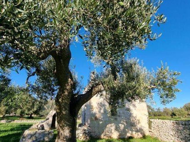 Rustico in vendita a Puglia, Brindisi