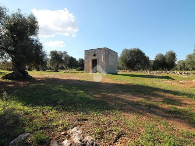 Rustico in vendita a Ostuni, Brindisi