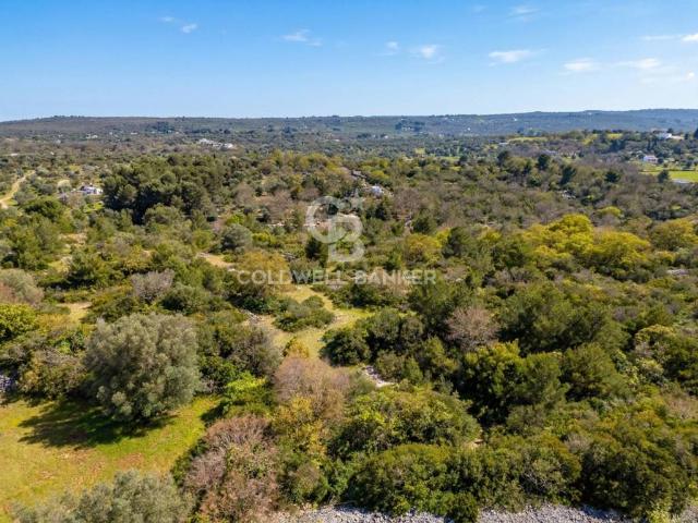 Rustico in vendita a Borgo Rurale Pascarosa, Puglia