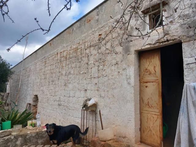 Rustico in vendita a Ostuni, Brindisi