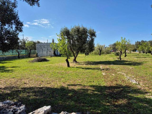 Rustico in vendita a Puglia, Brindisi