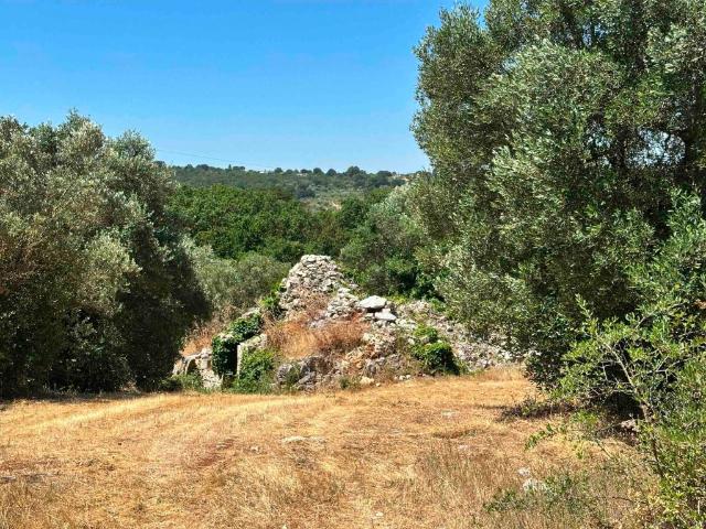 Rustico in vendita a Puglia, Brindisi
