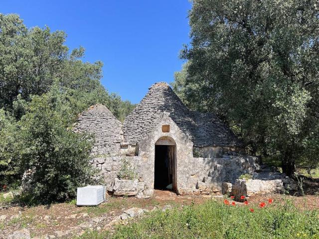 Rustico in vendita a Ostuni, Brindisi