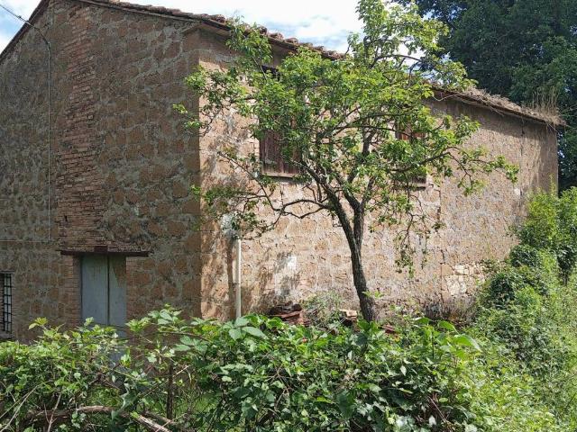 Rustico in vendita a Otricoli, Umbria