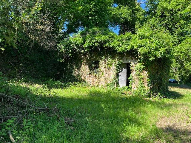 Rustico in vendita a Otricoli, Umbria