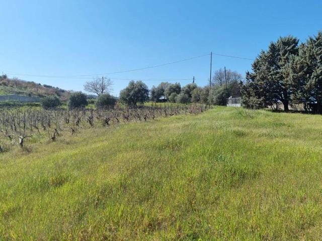 Rustico in vendita a Ozieri, Sardigna/Sardegna