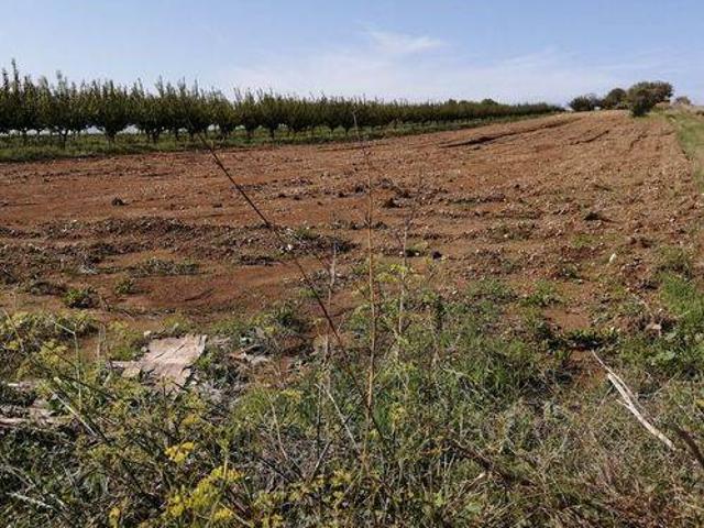 Rustico in vendita a Pachino, Sicilia