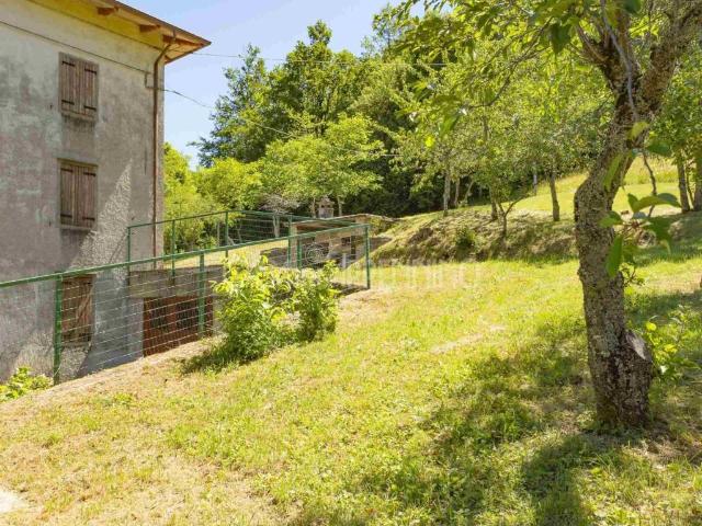Rustico in vendita a Unione dei comuni del Distretto Ceramico, Palagano