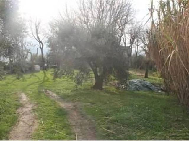 Rustico in vendita a Montechiari, Legoli