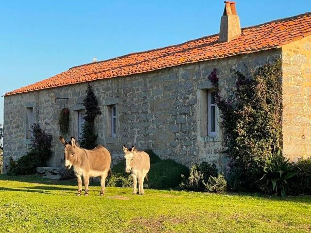 Rustico in vendita a Palau, Sardigna/Sardegna