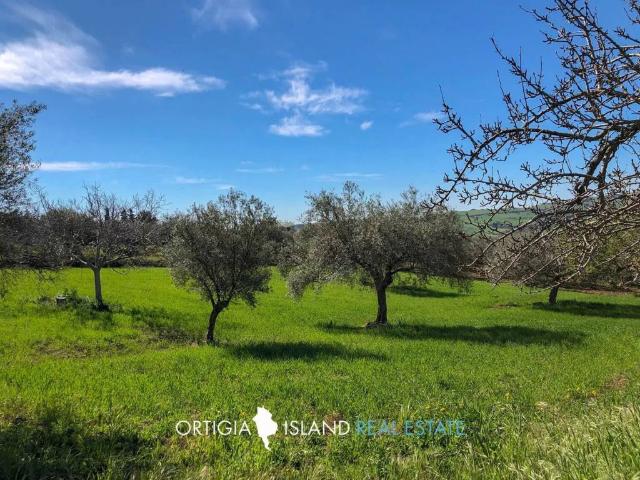 Rustico in vendita a Noto, Sicilia