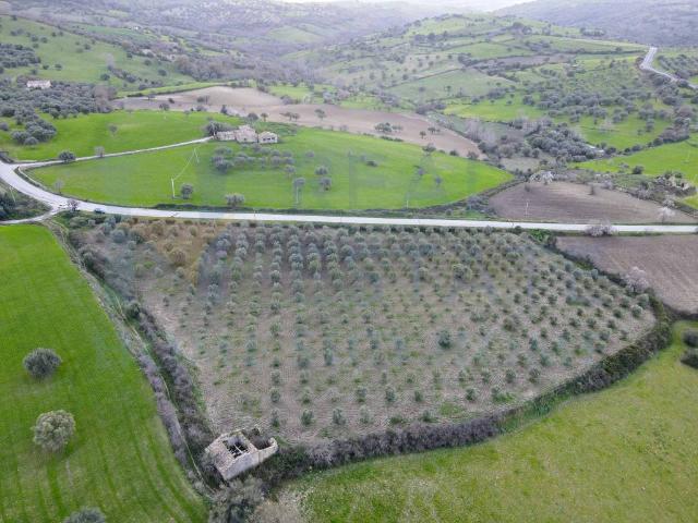 Rustico in vendita a Palazzolo Acreide, Sicilia