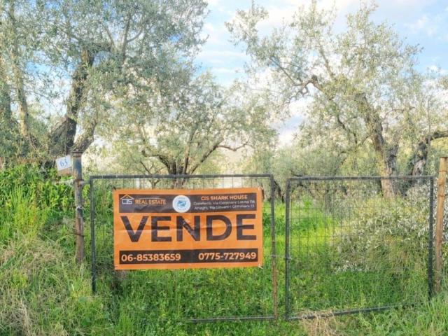 Rustico in vendita a Paliano, Lazio