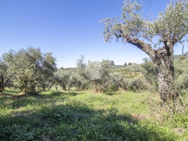 Rustico in vendita a Stazzano, Roma Capitale