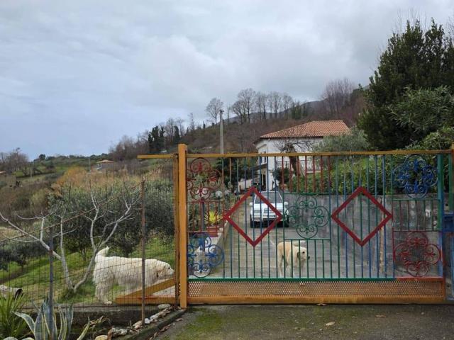 Rustico in vendita a Calabria, Cosenza