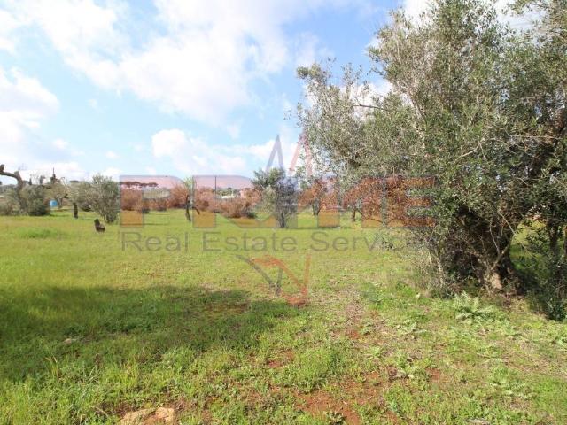 Rustico in vendita a Puglia, Lecce