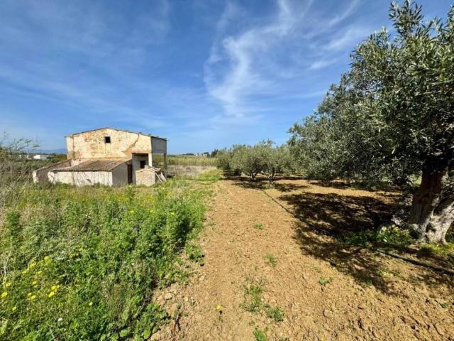 Rustico in vendita a Partinico, Sicilia