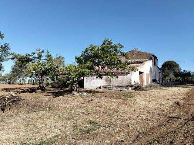 Rustico in vendita a Partinico, Sicilia