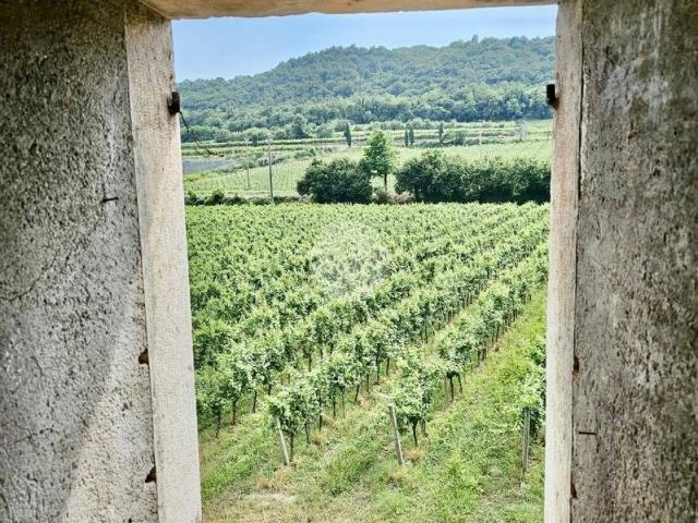 Rustico in vendita a Pastrengo, Veneto