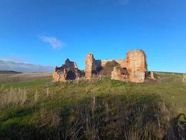 Rustico in vendita a Cedri, Peccioli