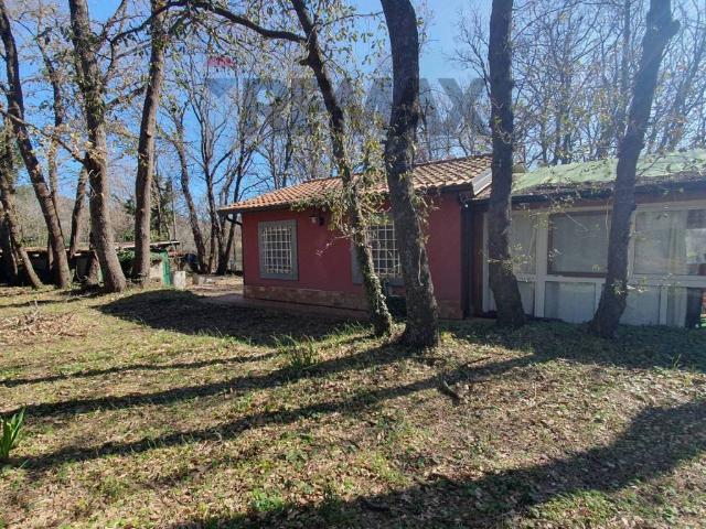 Rustico in vendita a Tarderia, Pedara