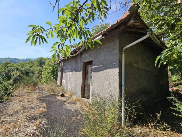 Rustico in vendita a Tarderia, Pedara