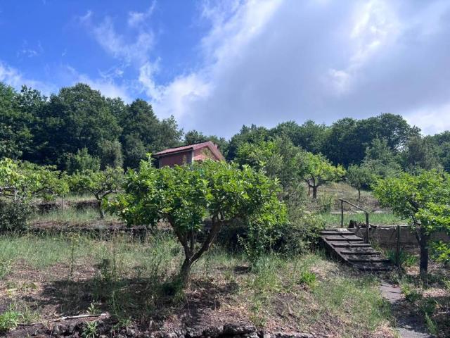 Rustico in vendita a Tarderia, Pedara