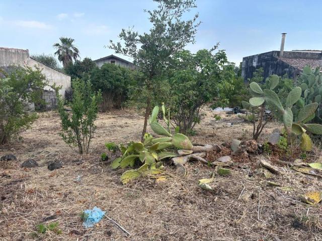 Rustico in vendita a Pedara, Sicilia