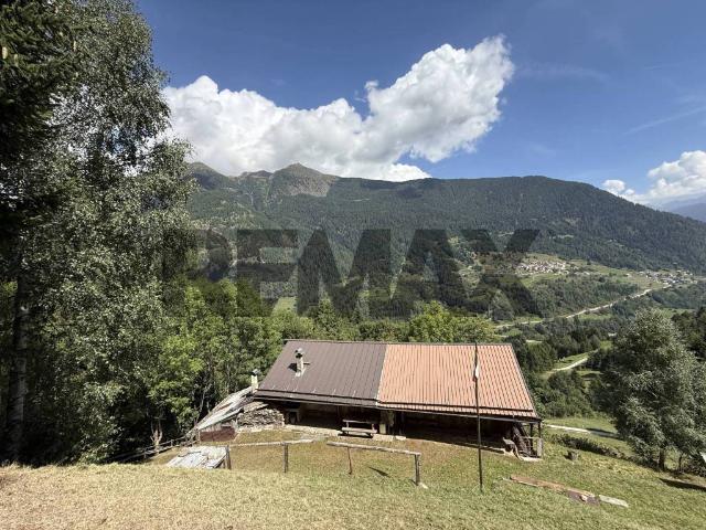 Rustico in vendita a Comunità della Valle di Sole, Pejo