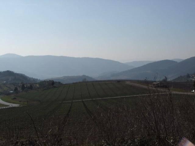 Rustico in vendita a Unione di Comuni Valdarno e Valdisieve, Pelago