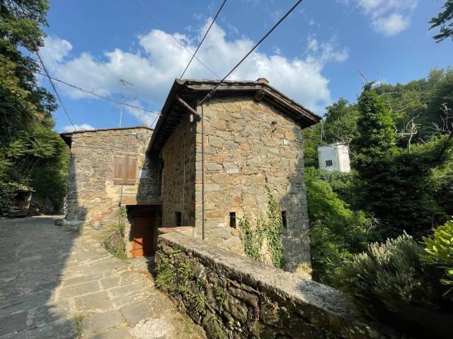 Rustico in vendita a Unione di Comuni Valdarno e Valdisieve, Pelago