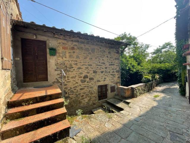 Rustico in vendita a Unione di Comuni Valdarno e Valdisieve, Pelago