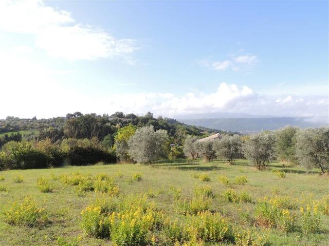 Rustico in vendita a Penna In Teverina, Umbria