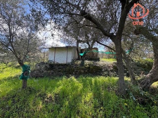 Rustico in vendita a Perdifumo, Campania