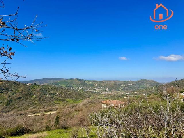 Rustico in vendita a Perdifumo, Campania