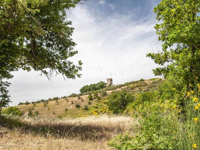 Rustico in vendita a Cenerente, Umbria