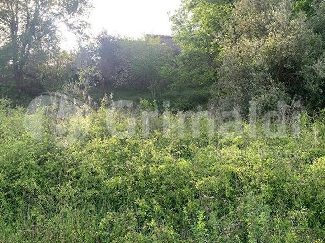 Rustico in vendita a Cenerente, Umbria