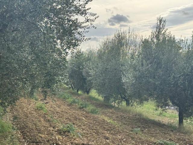 Rustico in vendita a Ponte San Giovanni, Cenerente