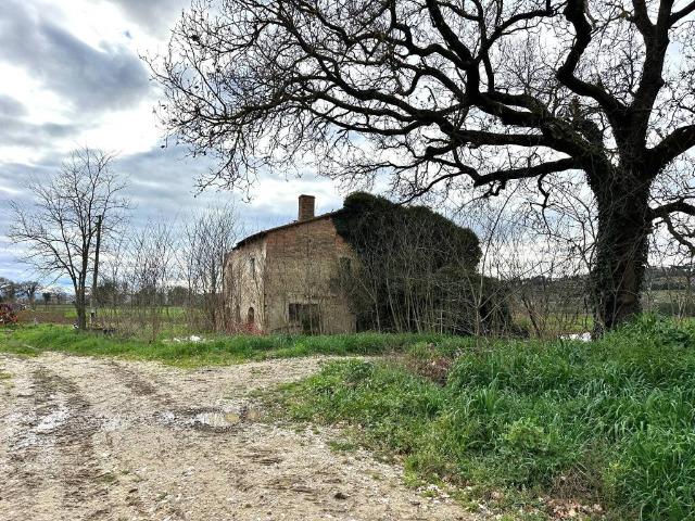 Rustico in vendita a Piscinello, Cenerente