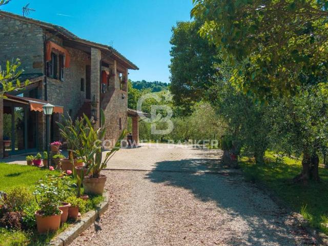 Rustico in vendita a Cenerente, Umbria