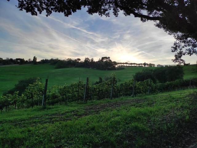 Rustico in vendita a Candelara, Pesaro