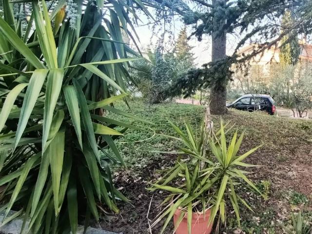 Rustico in vendita a Villa Ceccolini, Pesaro