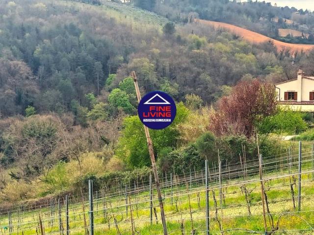 Rustico in vendita a Ginestreto, Pesaro