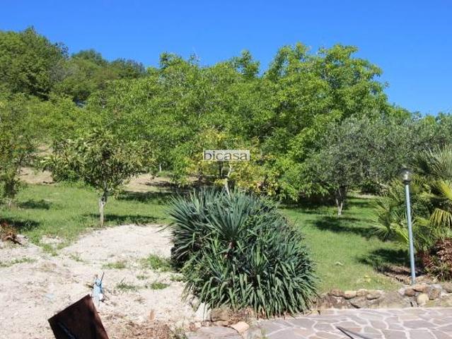 Rustico in vendita a Monteciccardo, Marche